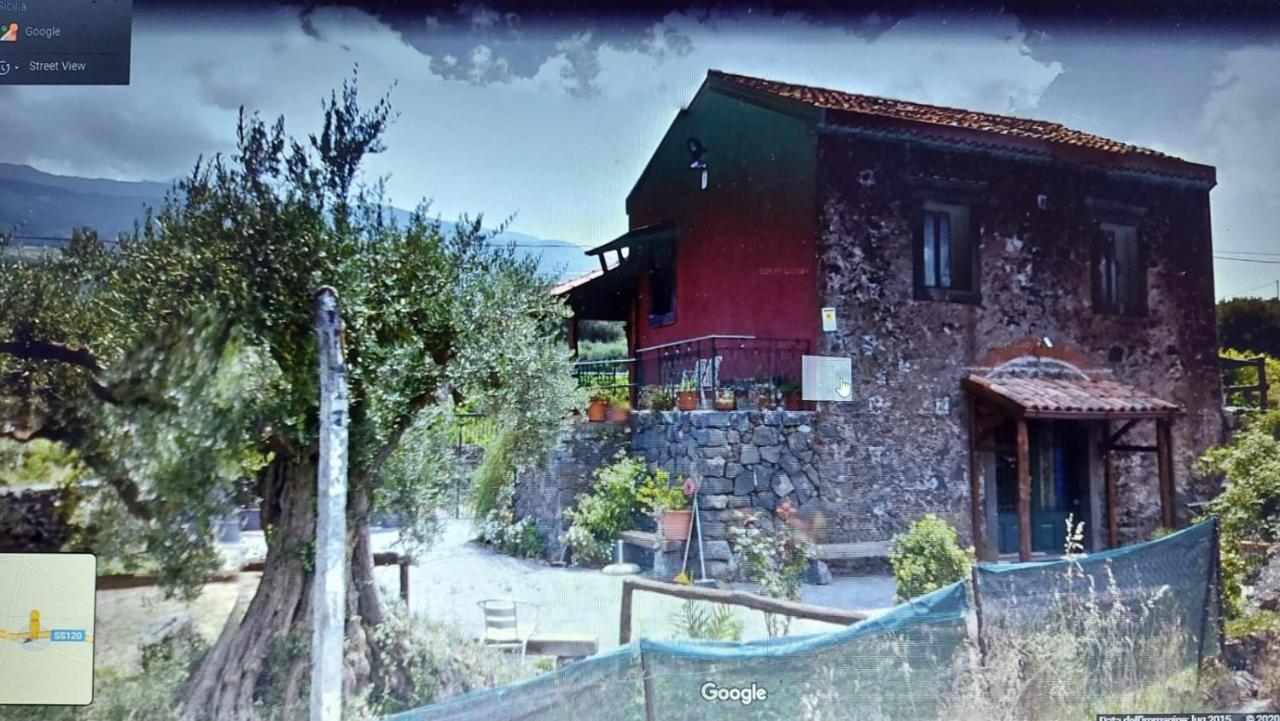 La Casa Degli Ulivi Secolari